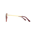 New Smart Design Cat Eye PC Farme Metal Temple Sunglasses